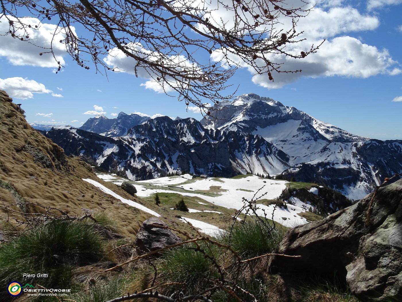 31 Dal sent. 217 sguardo indietro sul Monte Campo e verso Pizzo Arera .JPG